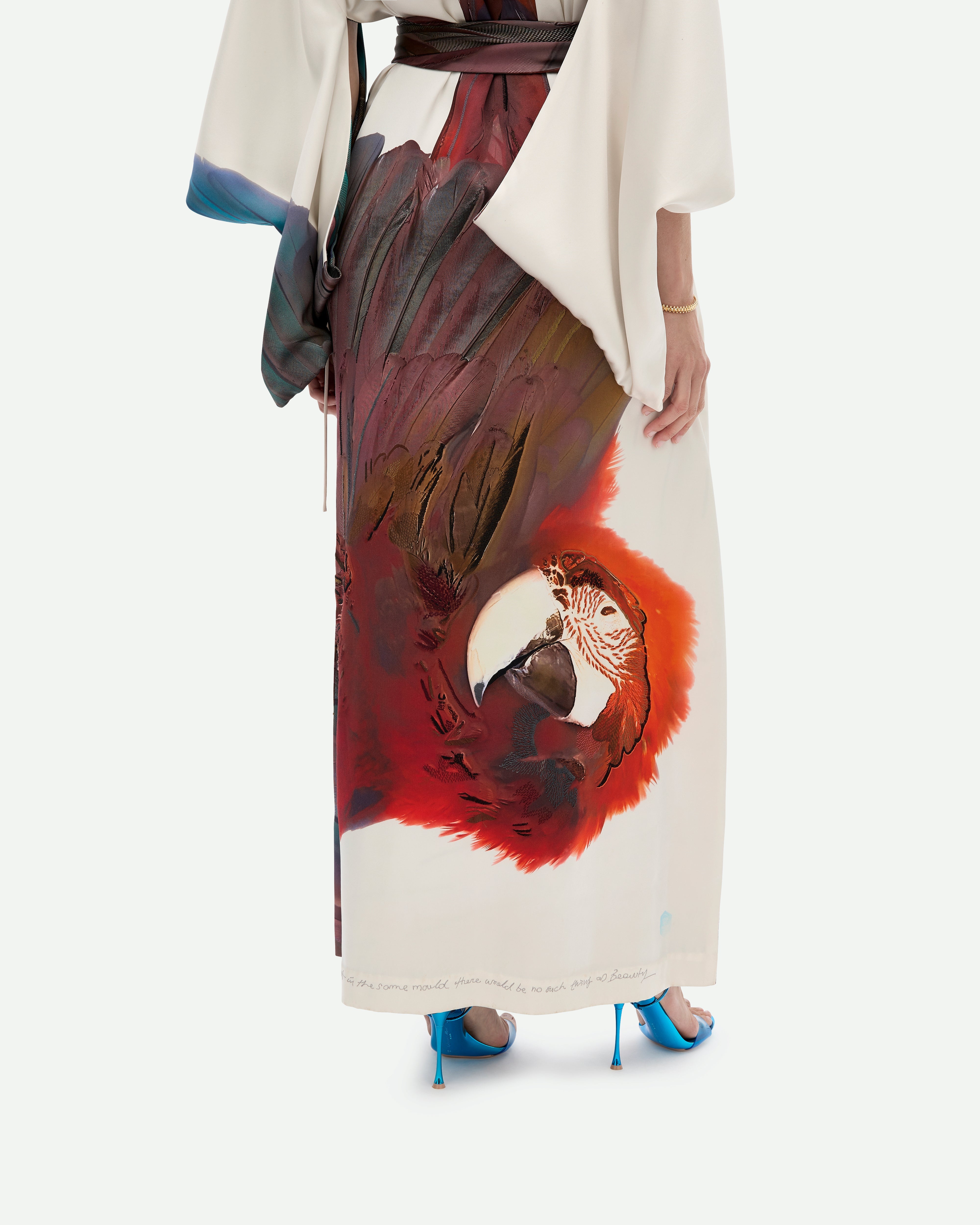 Darwin and Unknown Gown